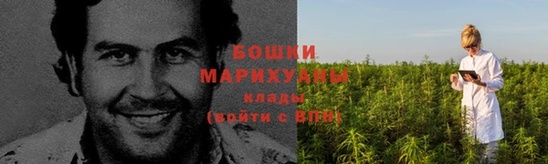 спиды Вязьма