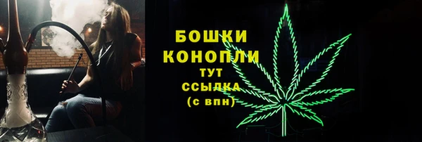 эйфоретик Вяземский