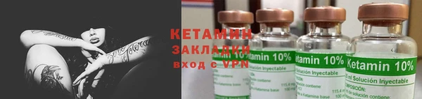 индика Сатка