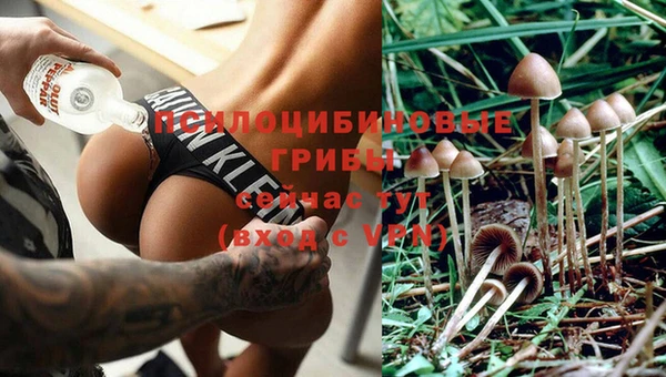 хмурый Вязники