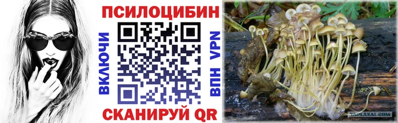 даркнет сайт  Дагестанские Огни  Псилоцибиновые грибы ЛСД 